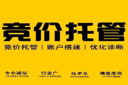 百度搜索引擎优化推广：成功案例揭秘